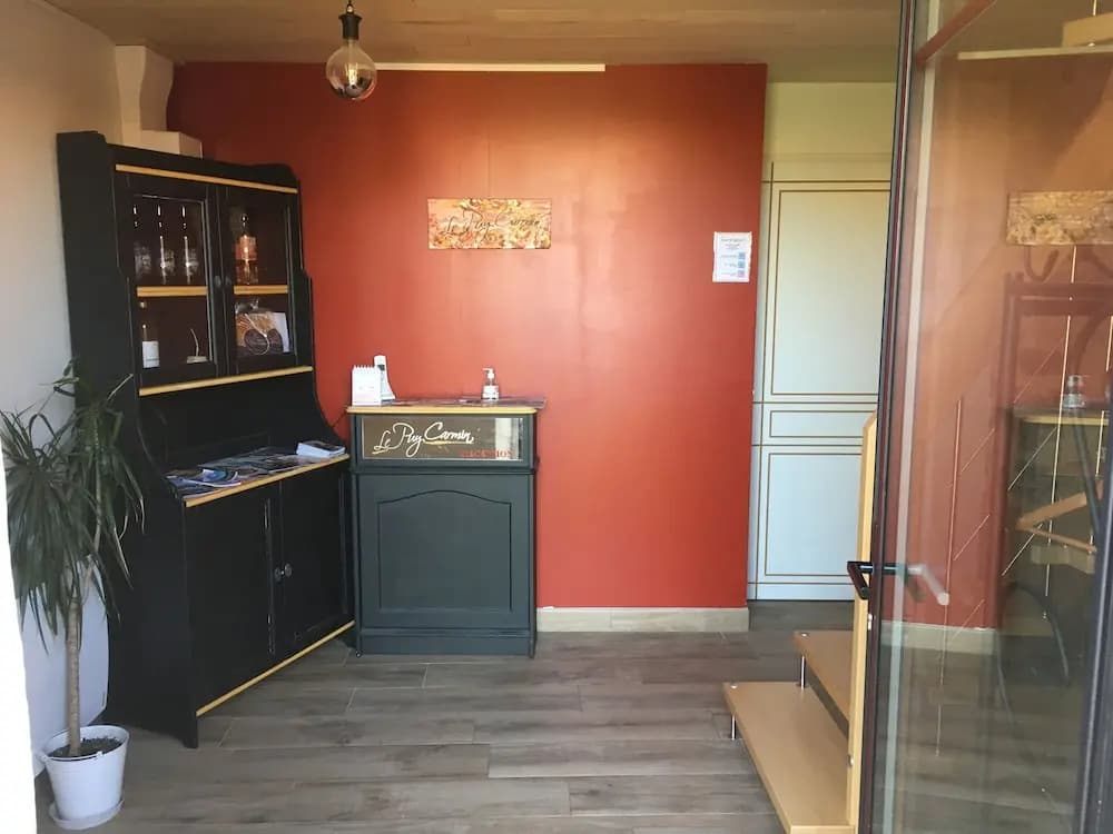 Le Puy Carmin - Chambres D'hôtes - Photo 2