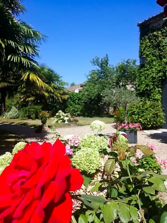 Les Hortensias - Chambres d'hôtes - Photo 1