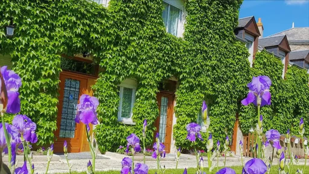 Le Beaugency - Miniature 8