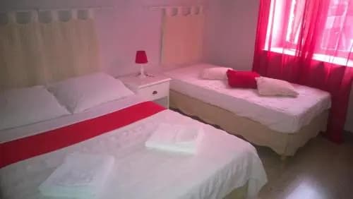 Chambres D'Hotes La Maison Des Chiens Verts - Photo 3