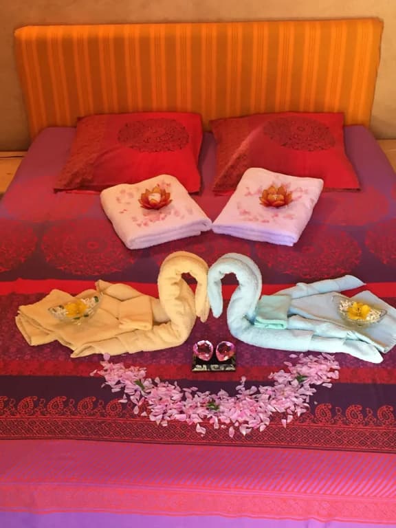 Domaine En Terre Happy - Photo 3