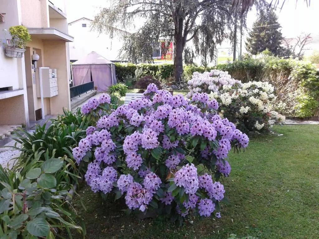 Les Floralies - Miniature 8