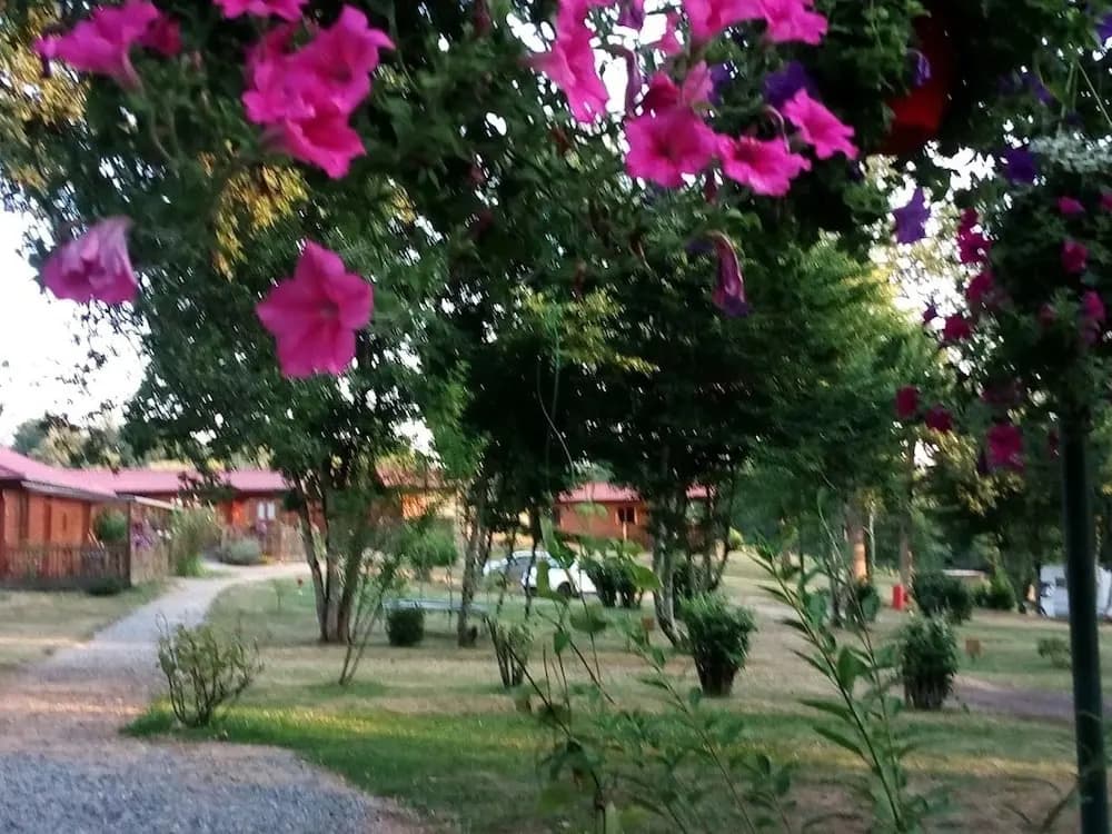 Camping de Sagnat - Photo 3