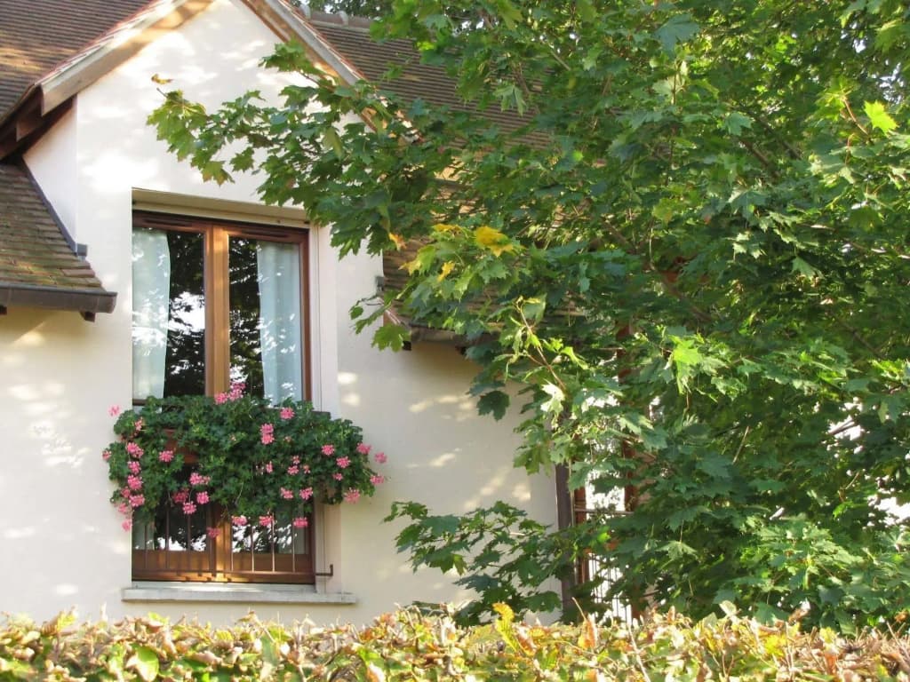 La Chouette - Photo 2
