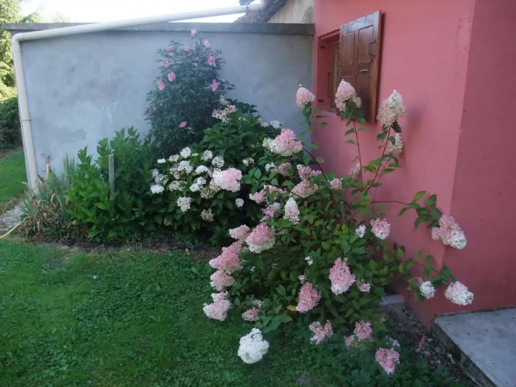 La Maison Du L.A.C. - Miniature 8