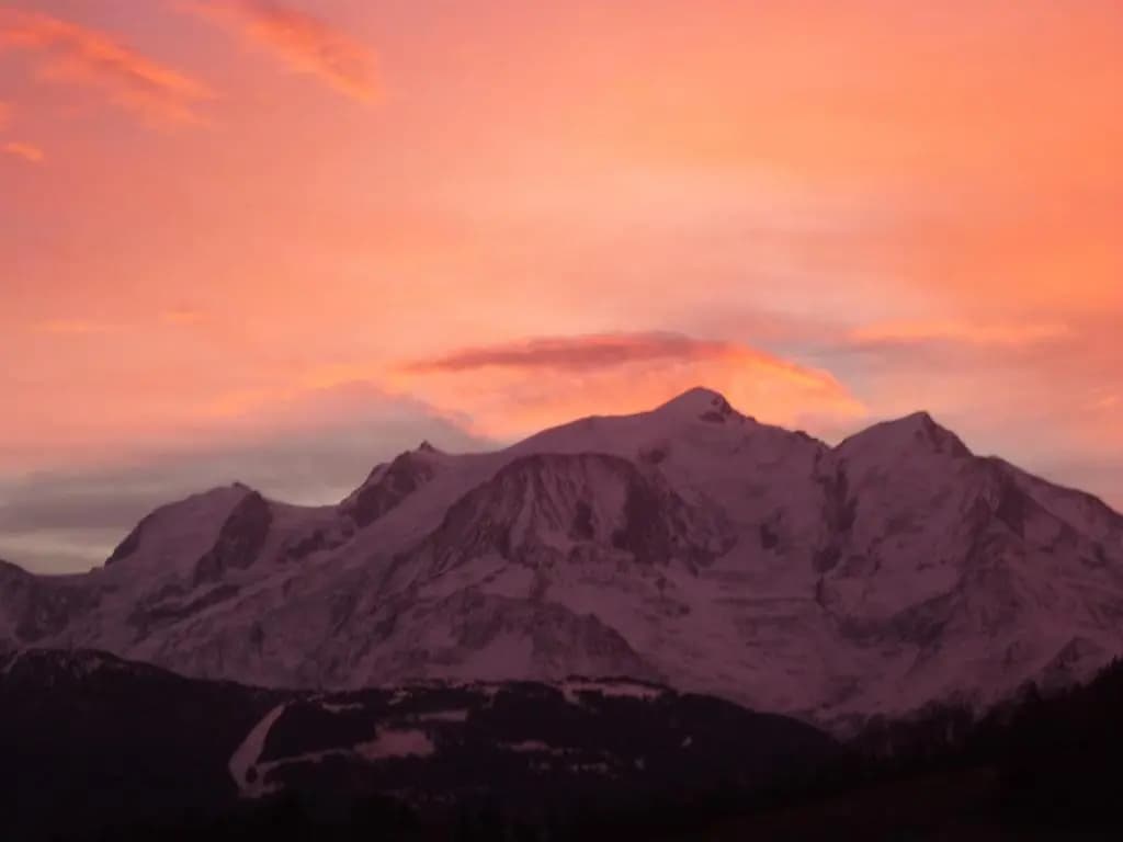 Le Chamois d'Or - Miniature 8