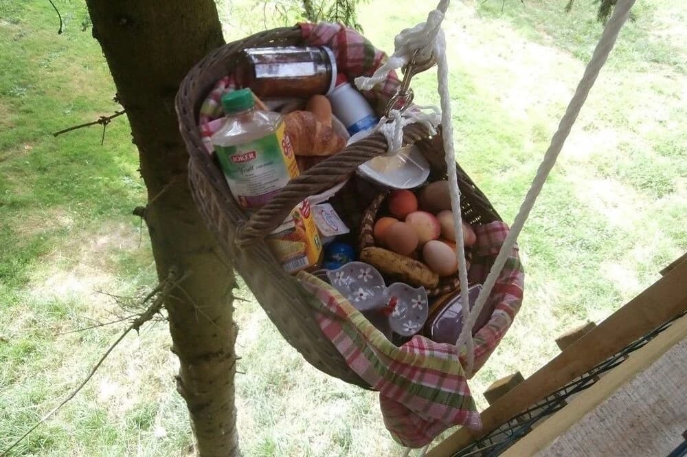 Cabane dans les Arbres - Tree House - Miniature 8