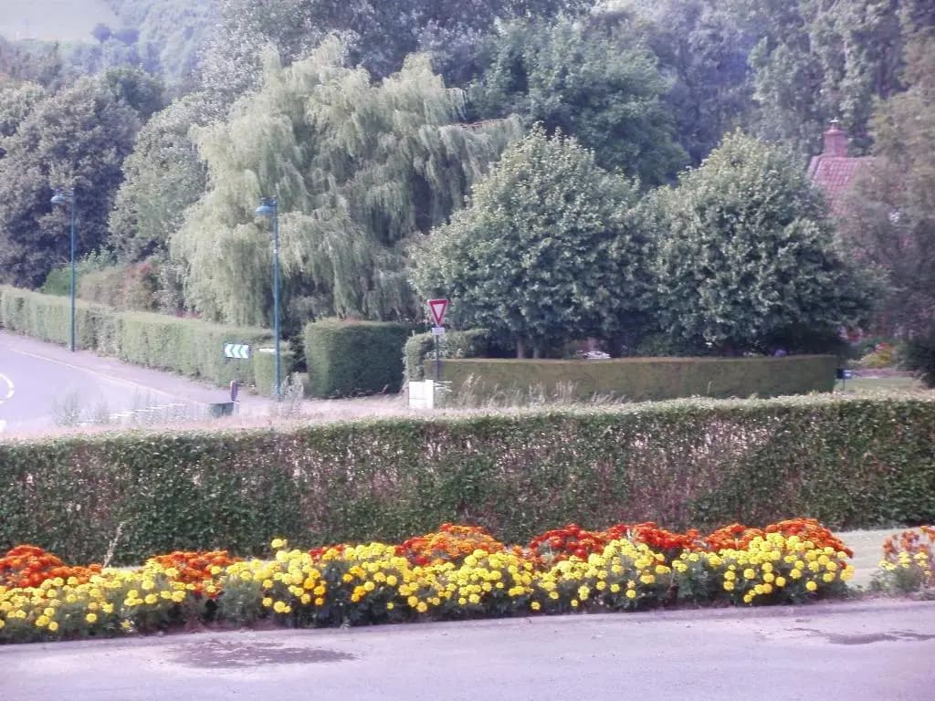 la ferme fleurie - Photo 1