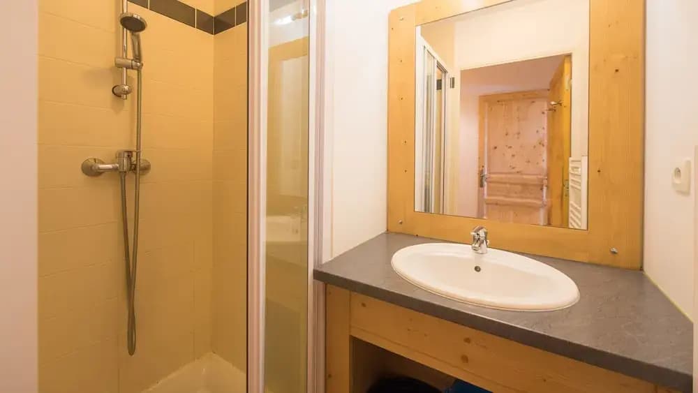 Apartment in France With Ski Access & Pool - Miniature 7