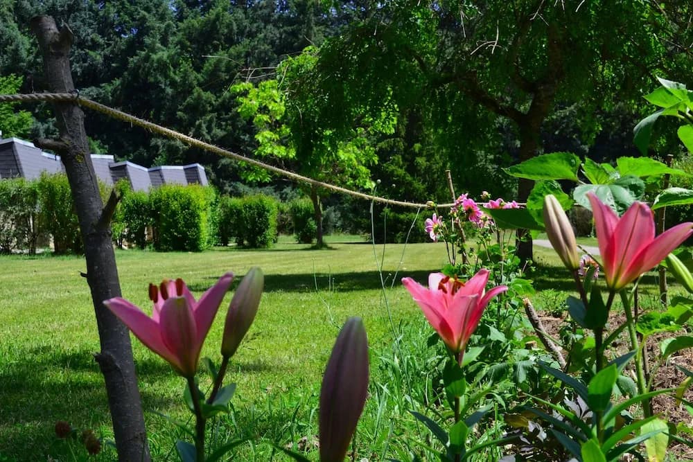 Les Gites De Beille - Photo 1