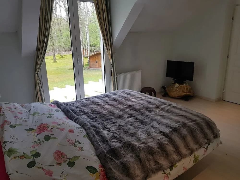 B&B Victoria - Photo 4