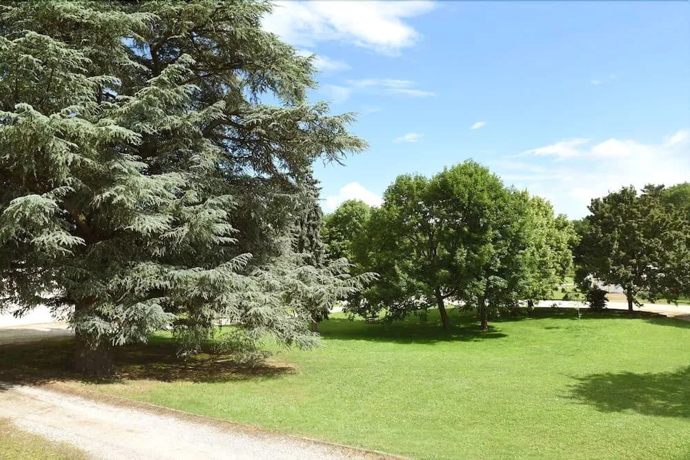 Domaine Château de Sainte-Croix - Miniature 7