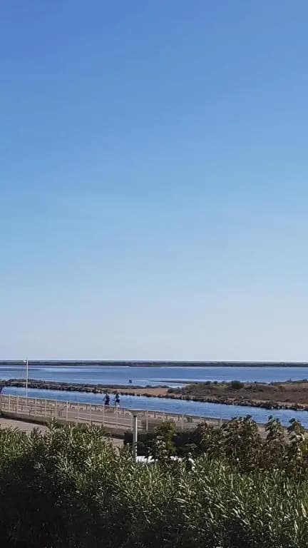Studio Gruissan Proche Plage Des Chalets (Adults Only) - Miniature 7