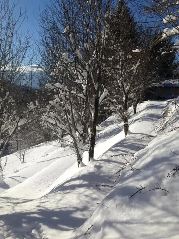 Chalet Eterlou - Miniature 7
