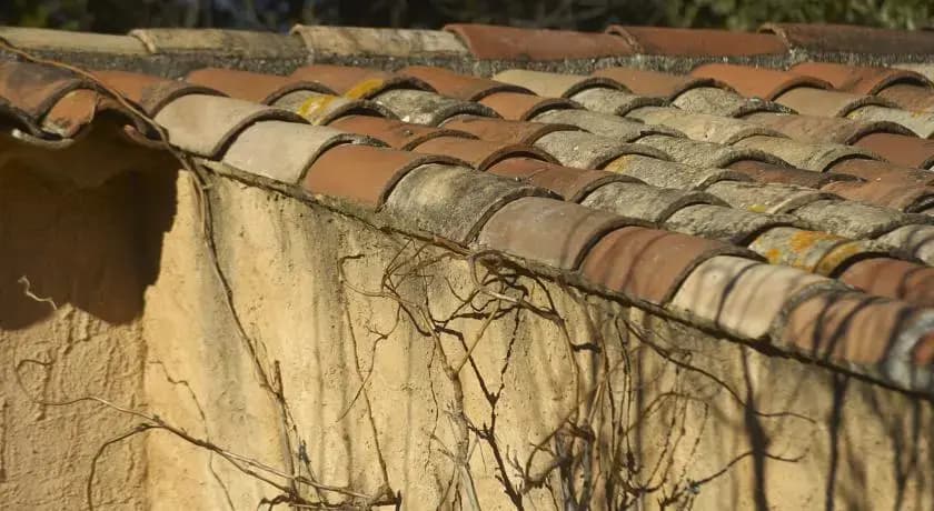 Chambre d'hôtes la Bastide des Passions - Photo 3
