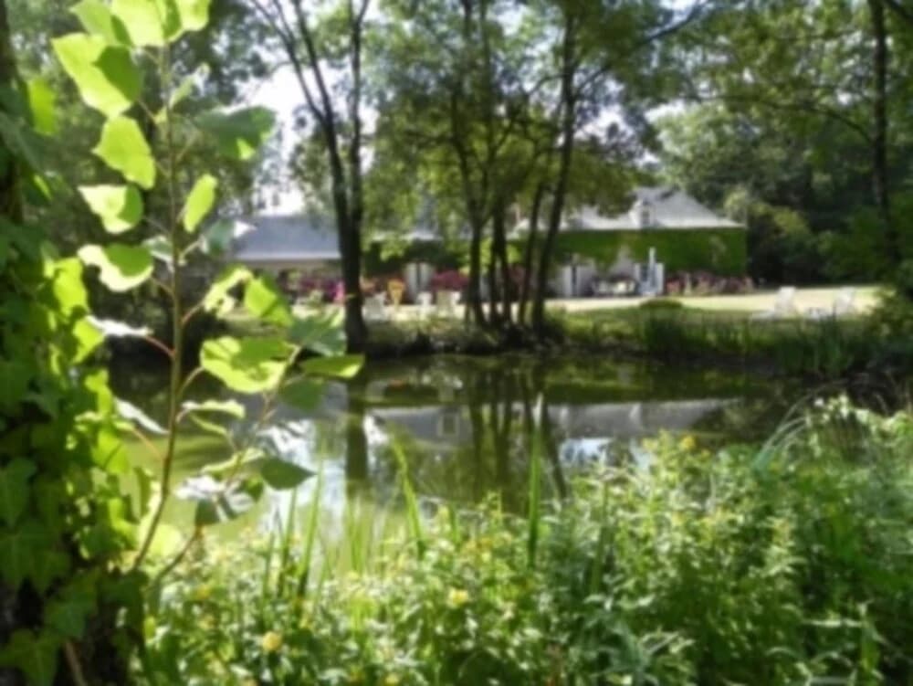Domaine des Etangs de Bois Robert - Miniature 8