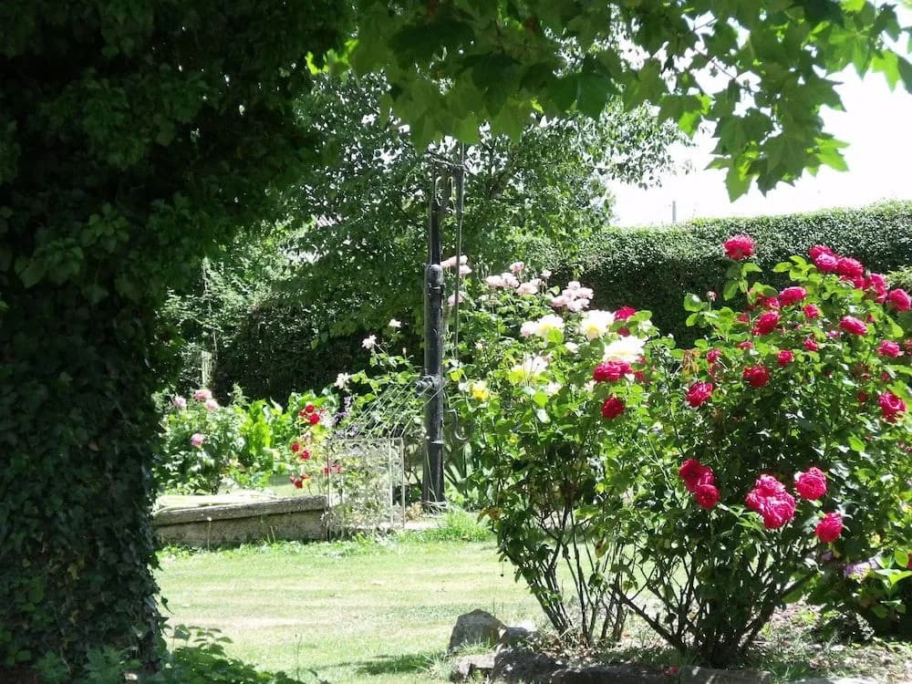 La Beauconniere B&B - Miniature 8