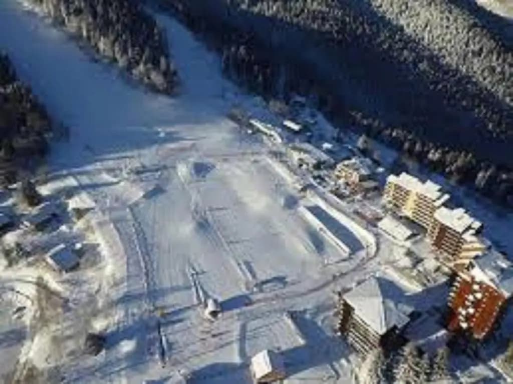 Un Isard au Pied des Pistes - Photo 4