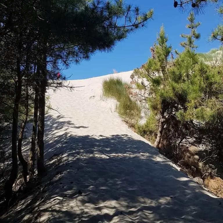 Un p'tit nid au Paradis - Miniature 6