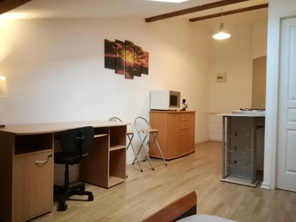 Studio mansardé à Oyonnax - Photo 1