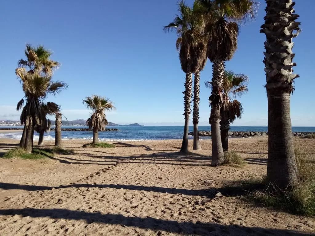 Le Petit Paradis - Photo 4
