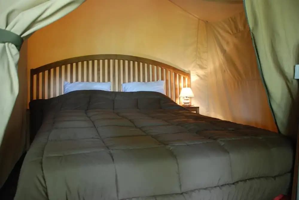 Camping les Tournesols - Photo 4