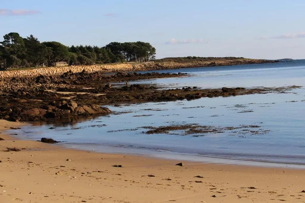 Saint Philibert à 2 pas de la mer - Photo 3