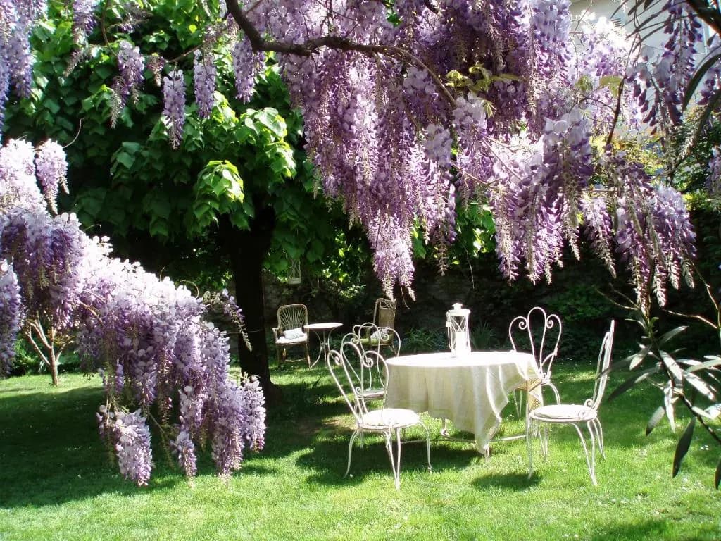 Le Clos Des Fontaines - Miniature 7