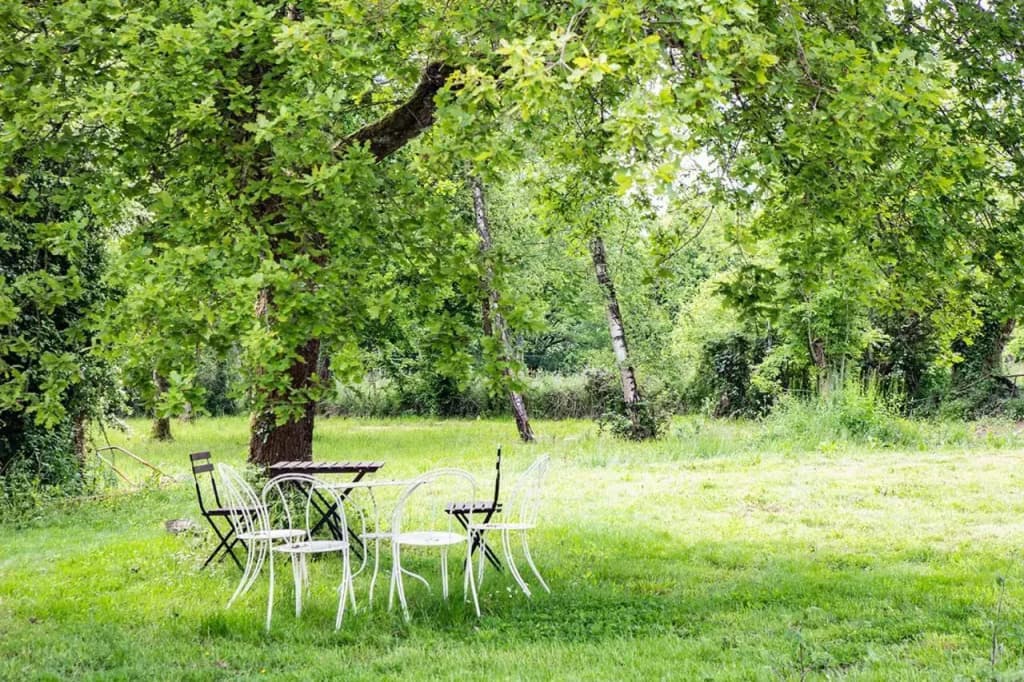 Le Chat Qui Perche. Gite pour 6 personnes. - Miniature 8