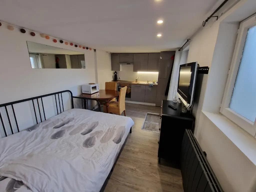 Studio quartier marais, terrasse rez de chaussée, jardin accessible, netflix - Photo 1