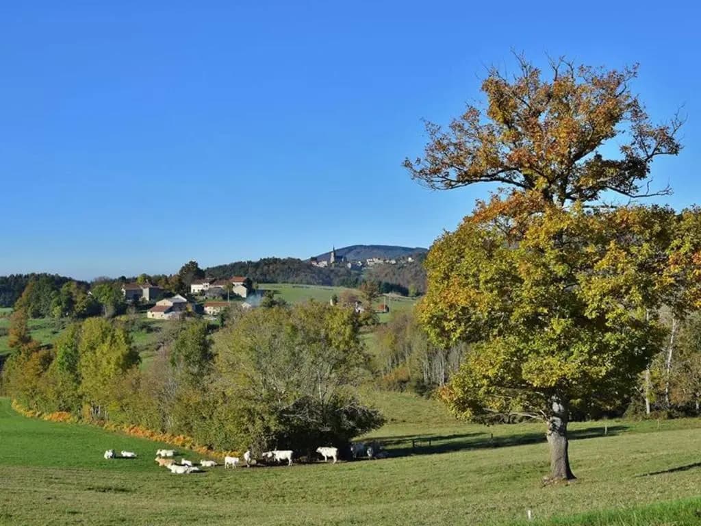 Gîte La Chabanne, 6 pièces, 14 personnes - FR-1-489-340 - Miniature 8
