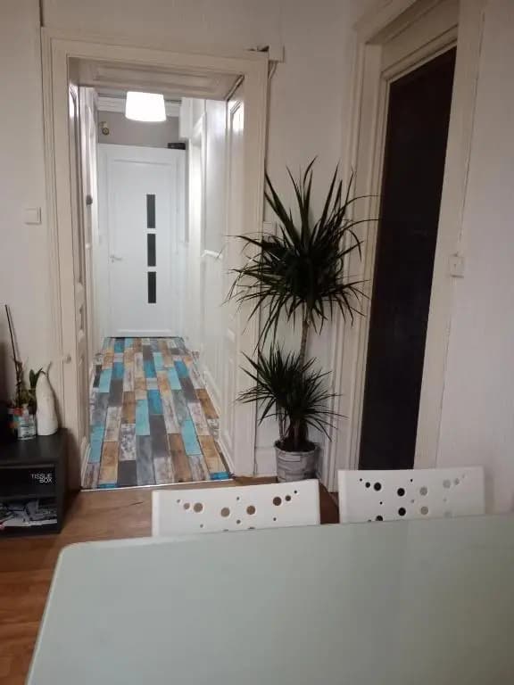 Pounette, appartement T3 centre / thermes Luxeuil - Miniature 8