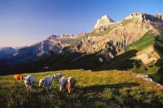 ANCOLIE 23 Les Chalets de Super D - Photo 2
