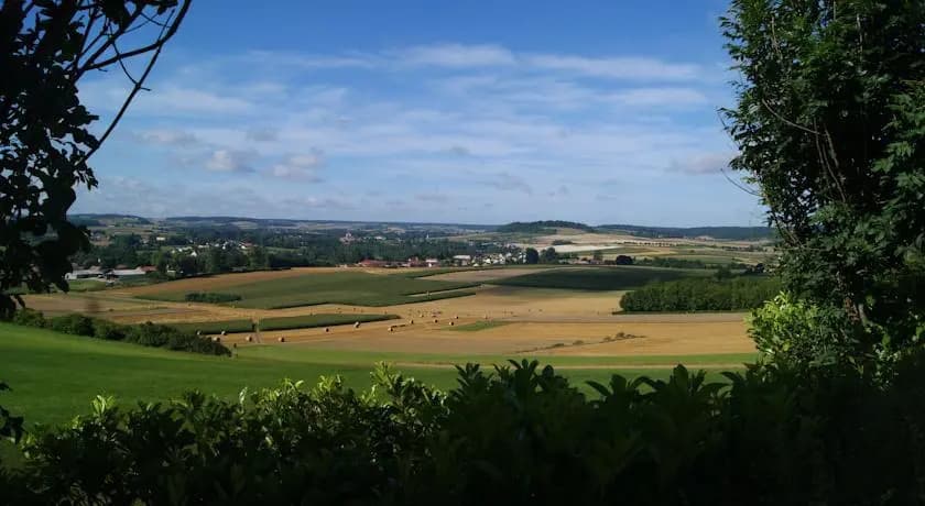 Les Sens des Bois - Gite les grives - Photo 2