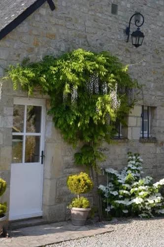 Chambre d'Hôtes Les Ronchettes - Photo 1