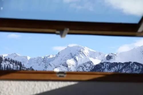 Le Chamois Bleu - Miniature 7
