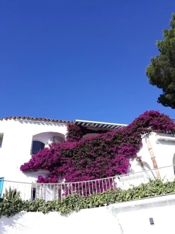 l'ecrin bleu - Photo 1