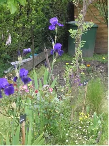 Monts Petit Jardin - Photo 1