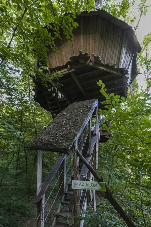 L'Arbre à Cabane - Photo 2