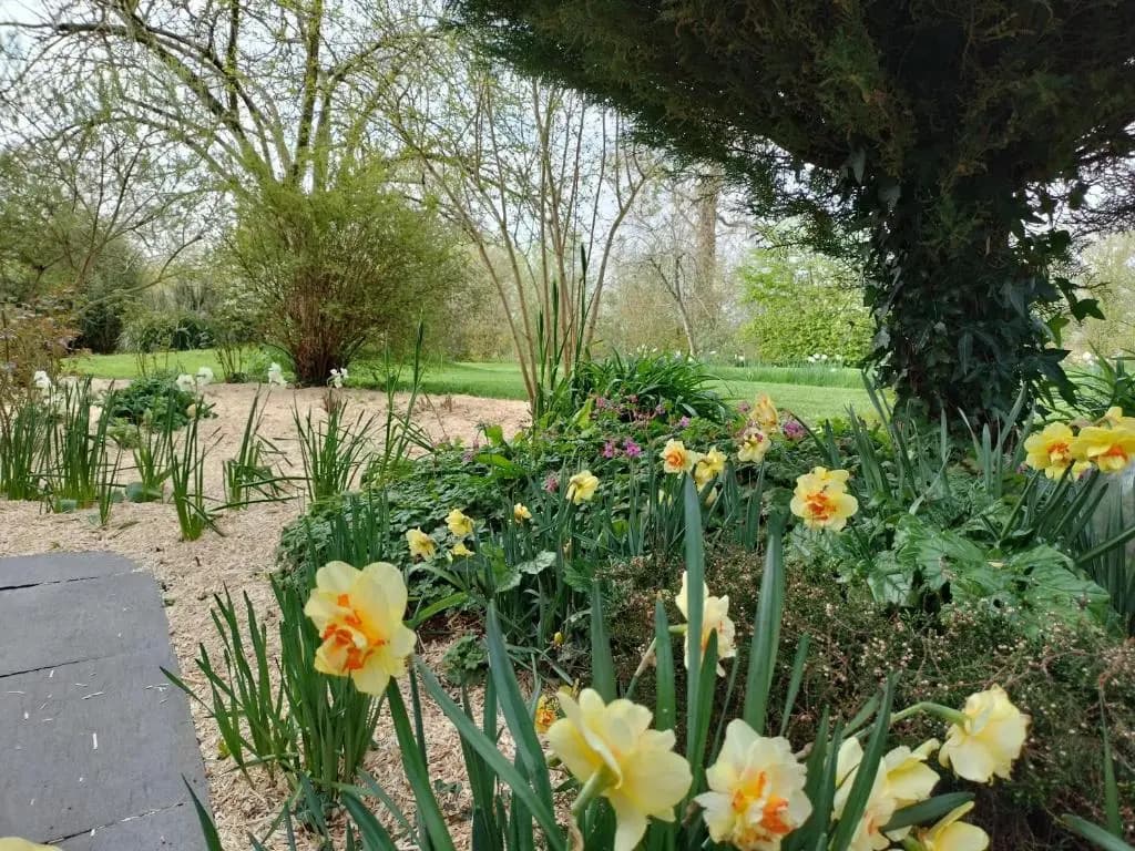 Le Clos des Pommiers - Photo 4