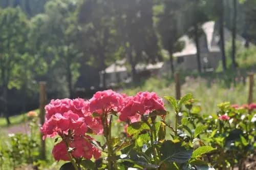 Domaine du Lac Ferrand - Miniature 6