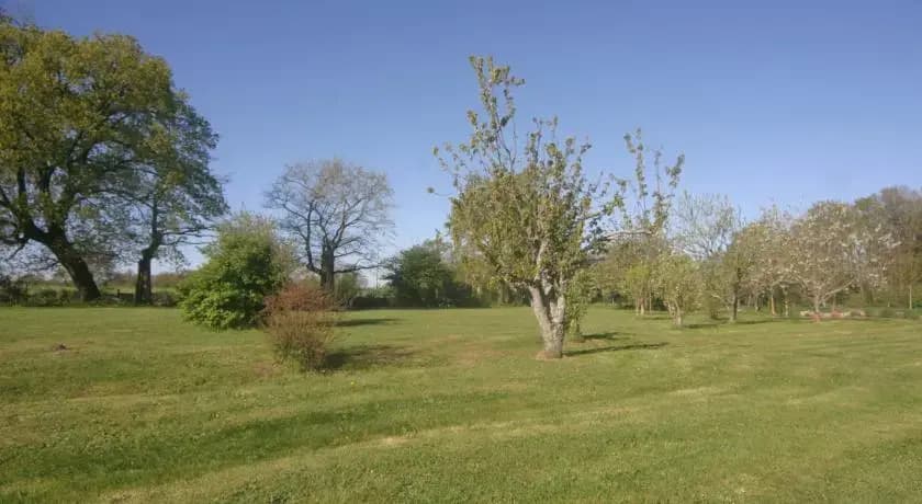 Chez Jasmin - Photo 5