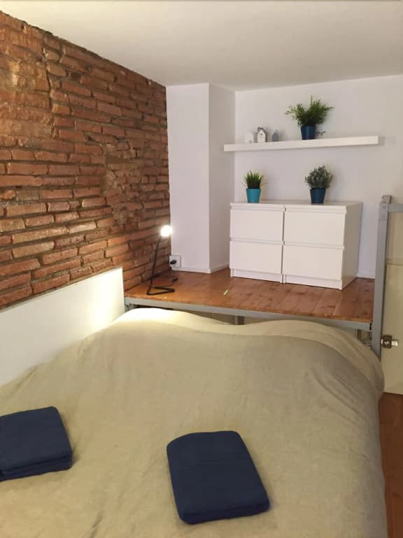 Le petit Moulin, duplex hypercentre Toulouse - Photo 3
