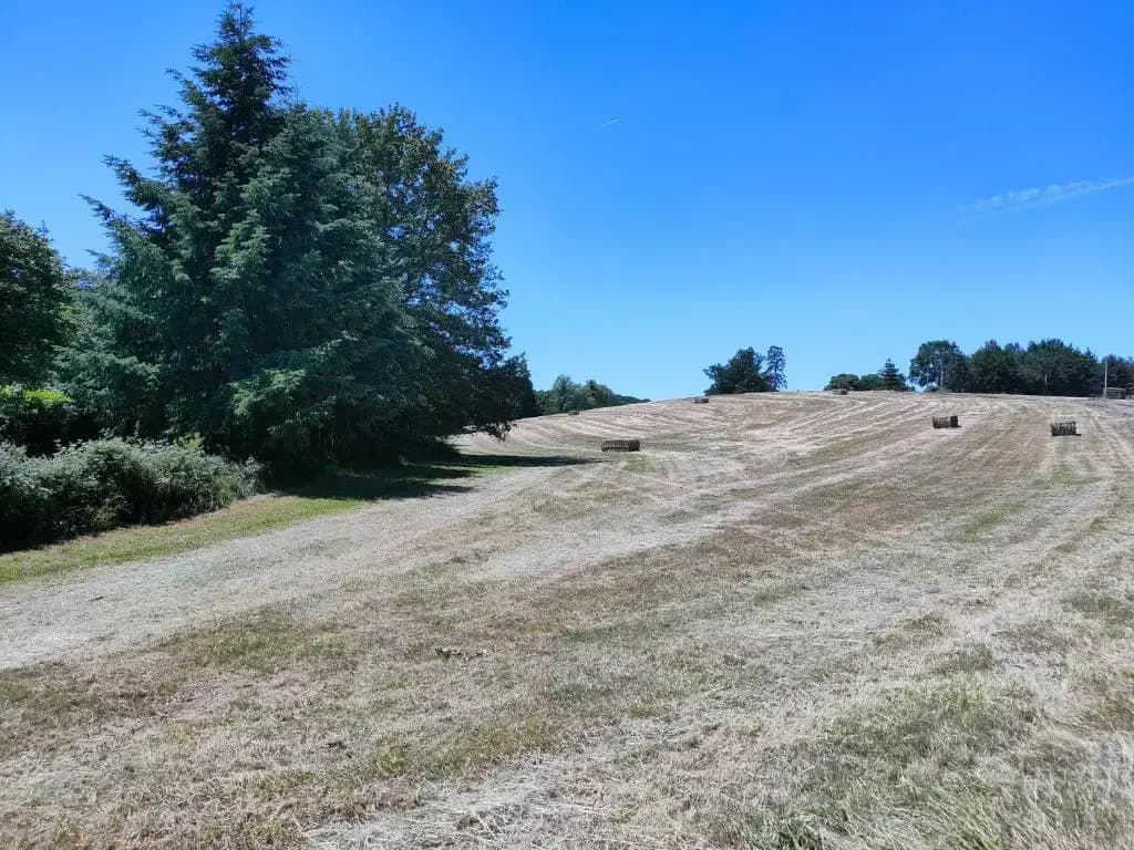 Chambres dans le gîte "Rêves de Gamins", proche du pôle Européen et du circuit des 24h - Photo 1