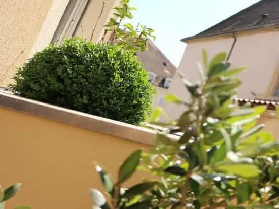 Le Saint-Etienne - Photo 1