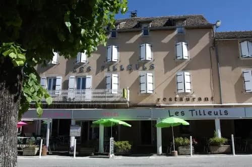 Hôtel Les Tilleuls de Pareloup - Photo 1