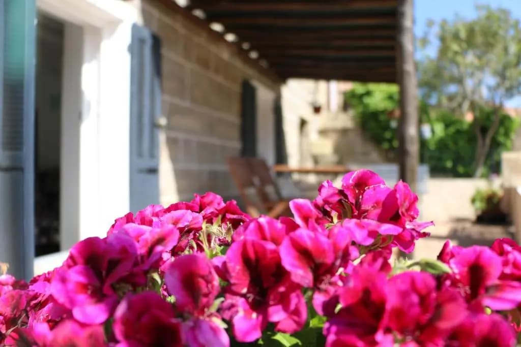Casa Susini - Photo 1