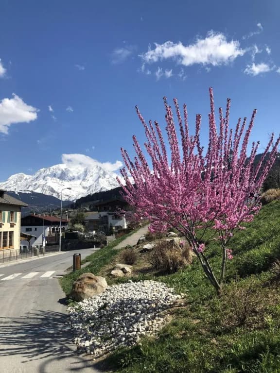 Le Floralp - Miniature 7
