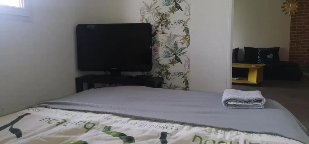 TOULOUSE appartement avec chambre séparée/Métro/Piscine - Photo 1