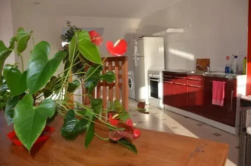 Appart Gites Avenue De La Mer - Photo 2
